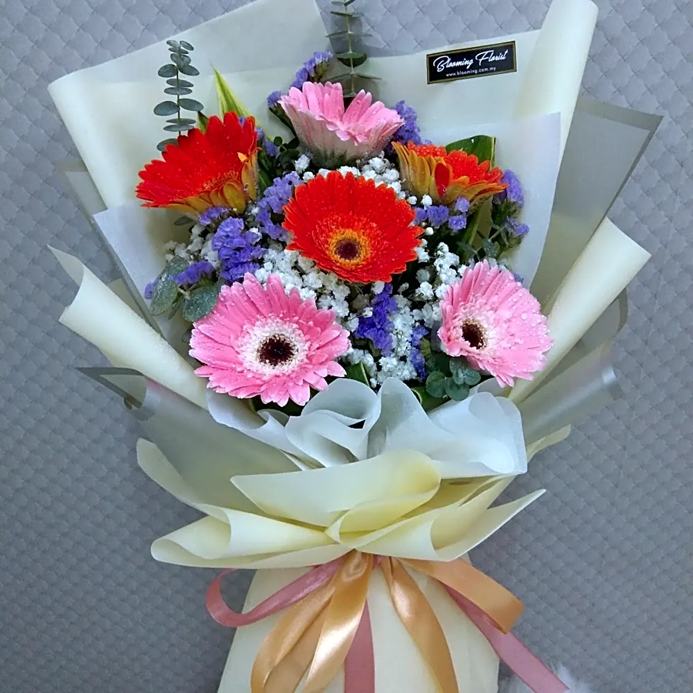 6 mixed daisy in a hand bouquet