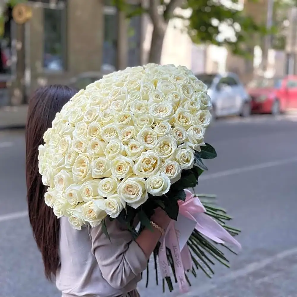 100 white roses