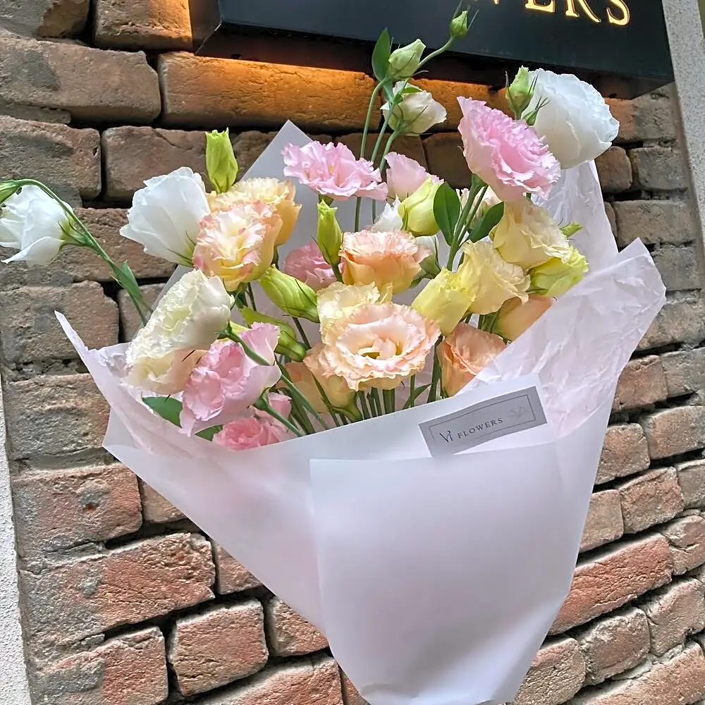 Super price TODAY! Colors of paradise