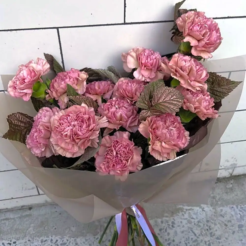 Моно Диантусов00