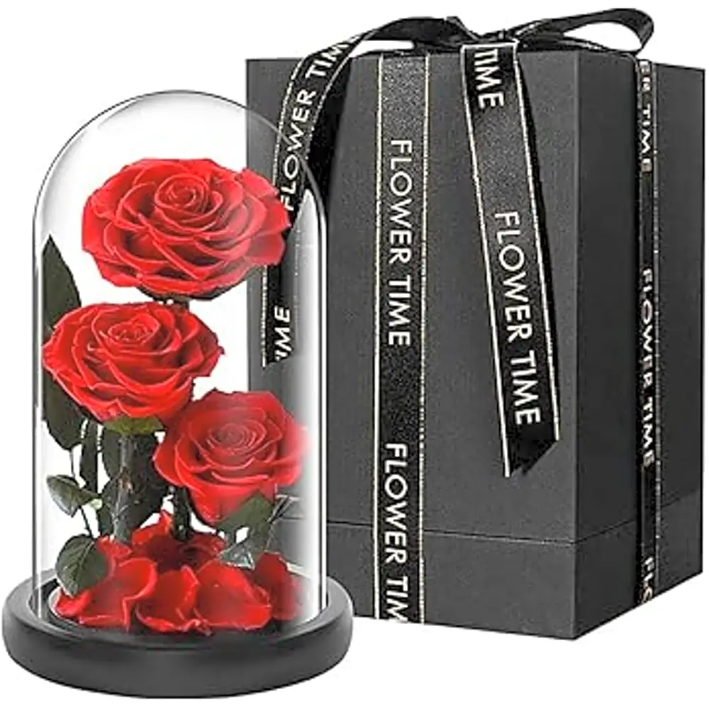 3 Dry flowers with face vase