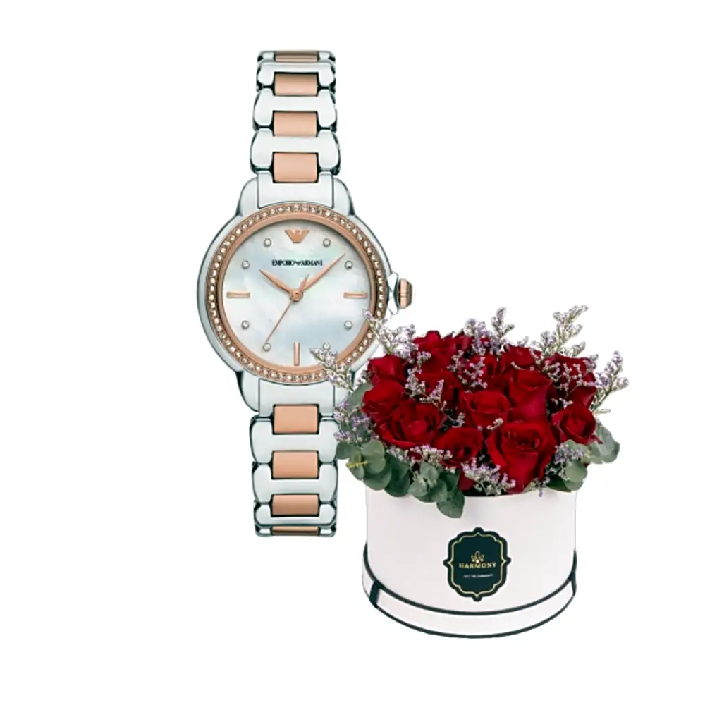 Armani  watches gifts 13