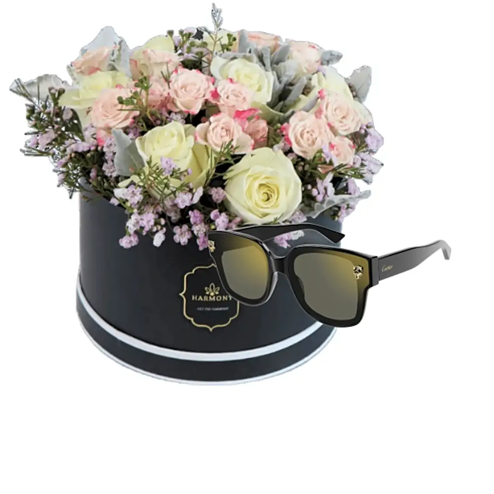 Cartier sunglass gifts 5