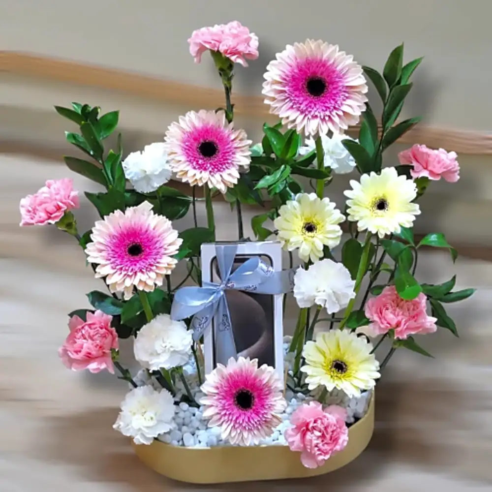 iPhone 17 Pro Max GIFT