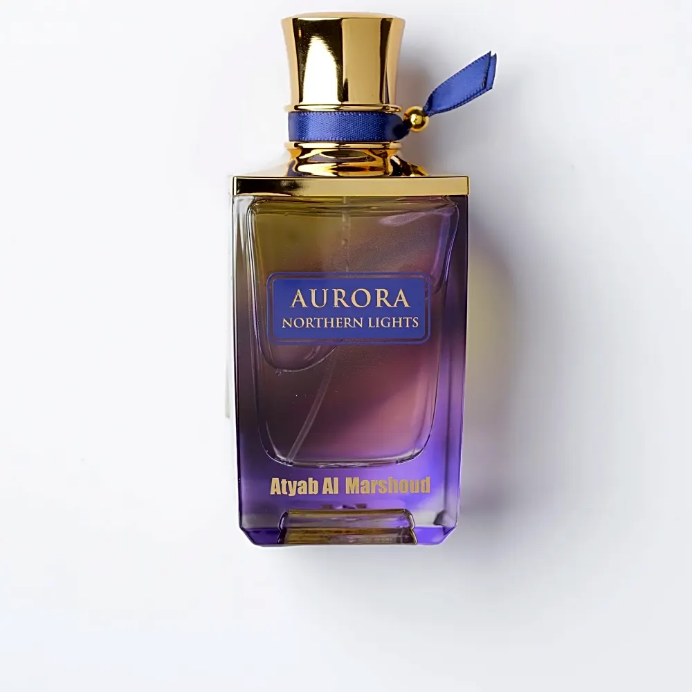 Aurora Northern Lights