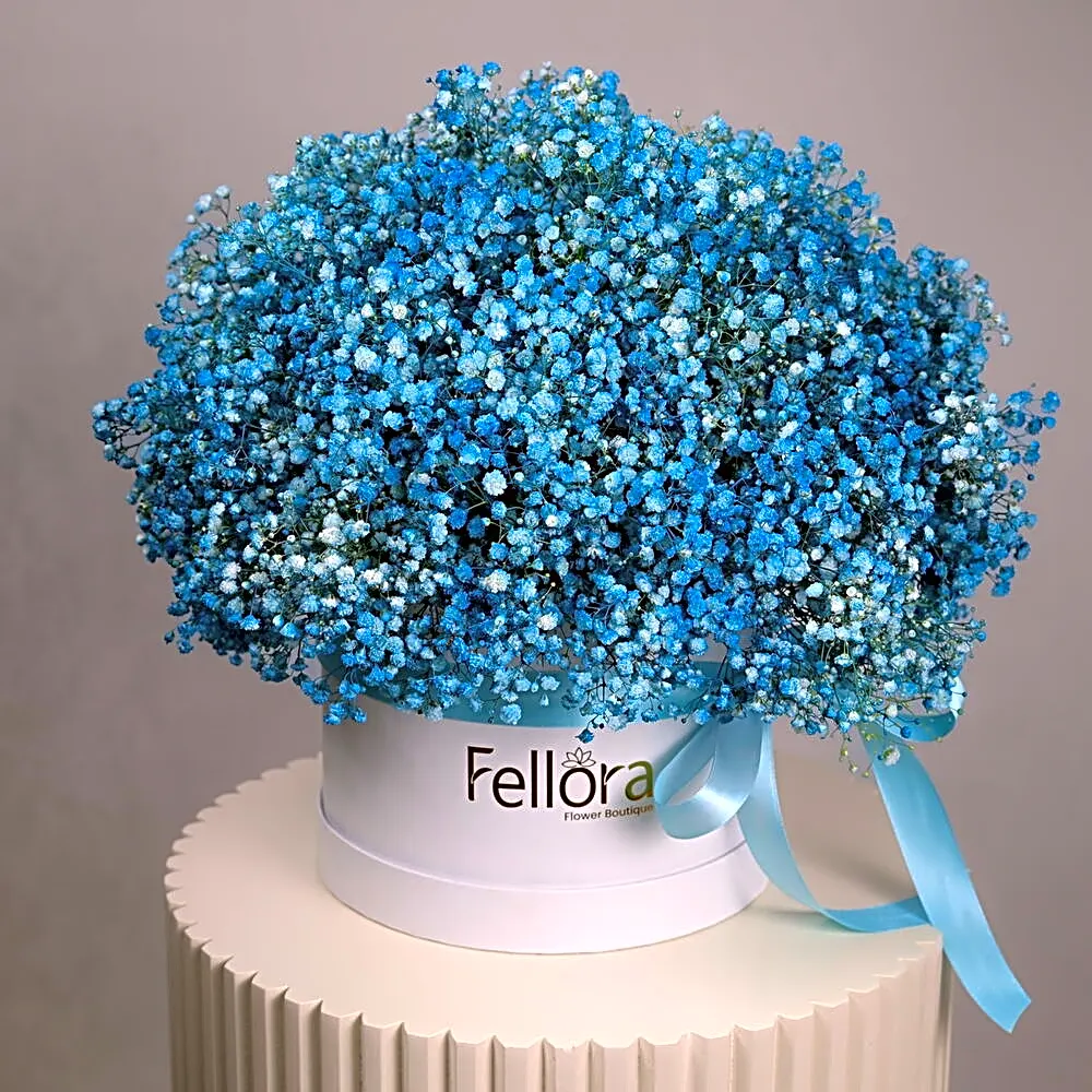Blue Gypsophilia in White Round Box - 570