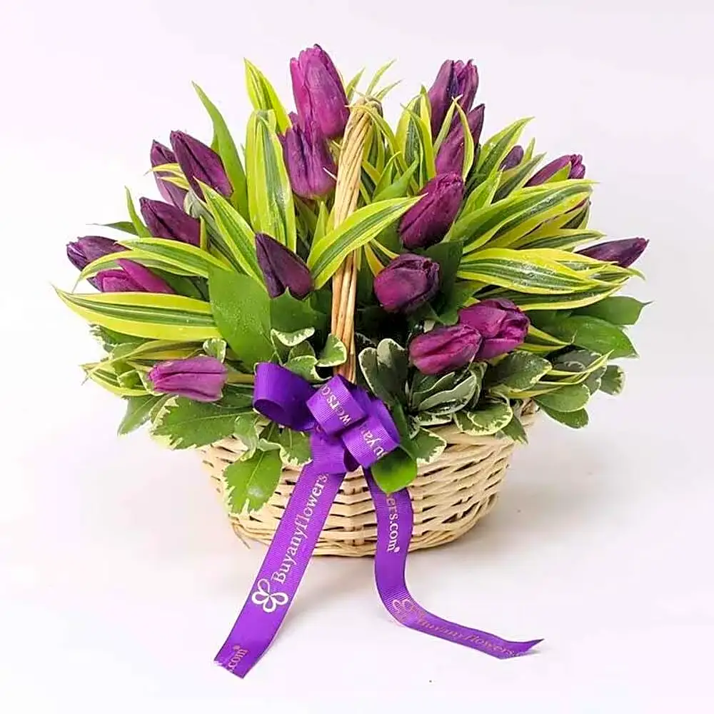 Valentine’s Garden