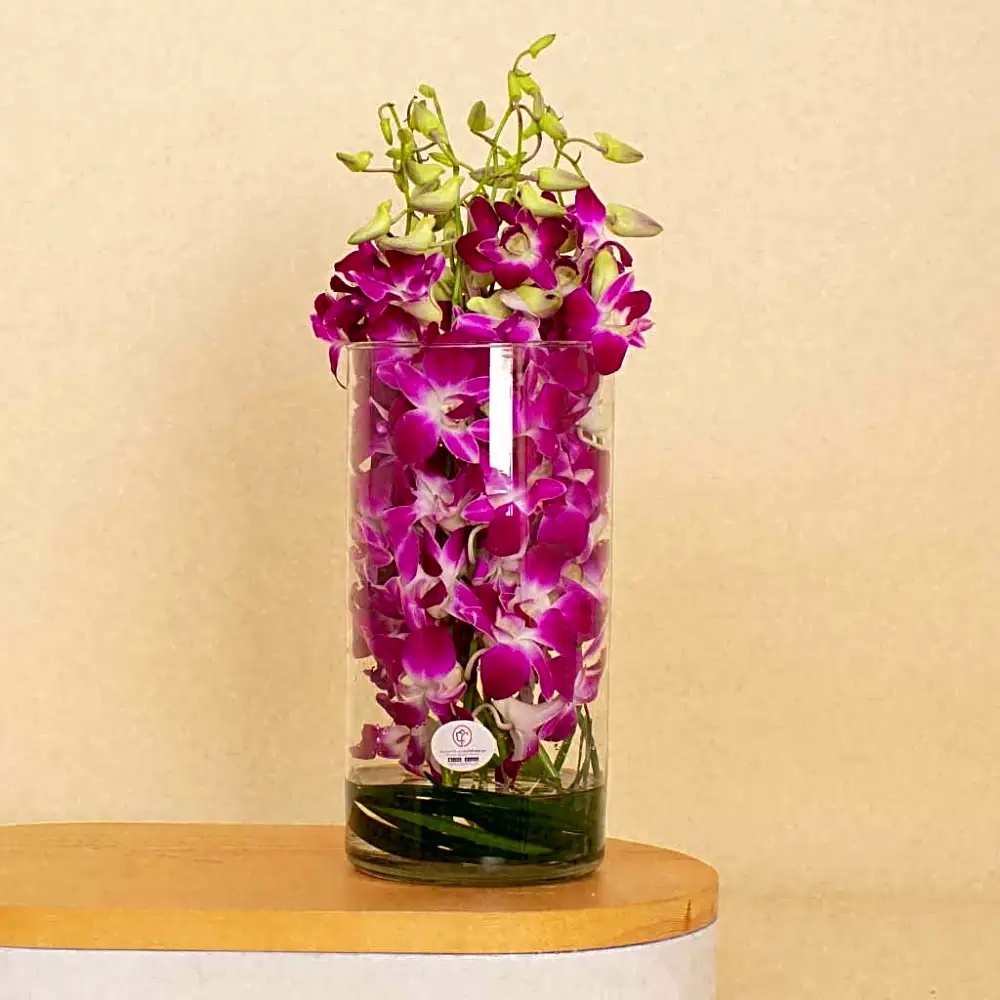 Baby Orchid Flower Vase - 10 Roses