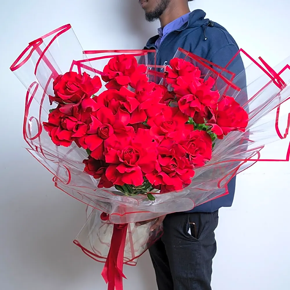 Striking Red Rose