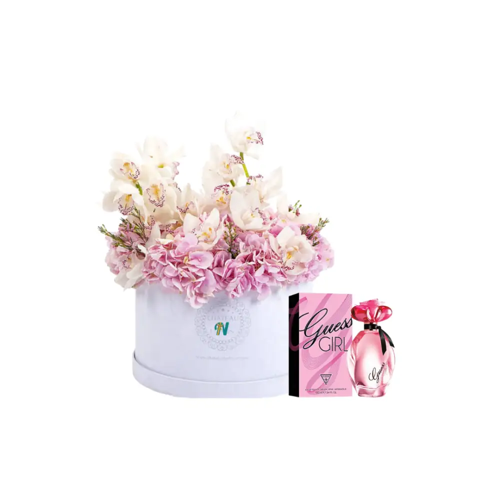 Nigwa Gift Bundle 17