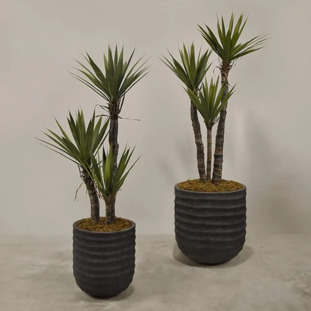 Artificial Yucca Plant
