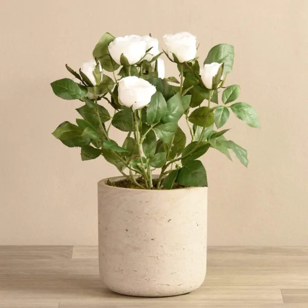 Artificial Cabbage Rose Plant