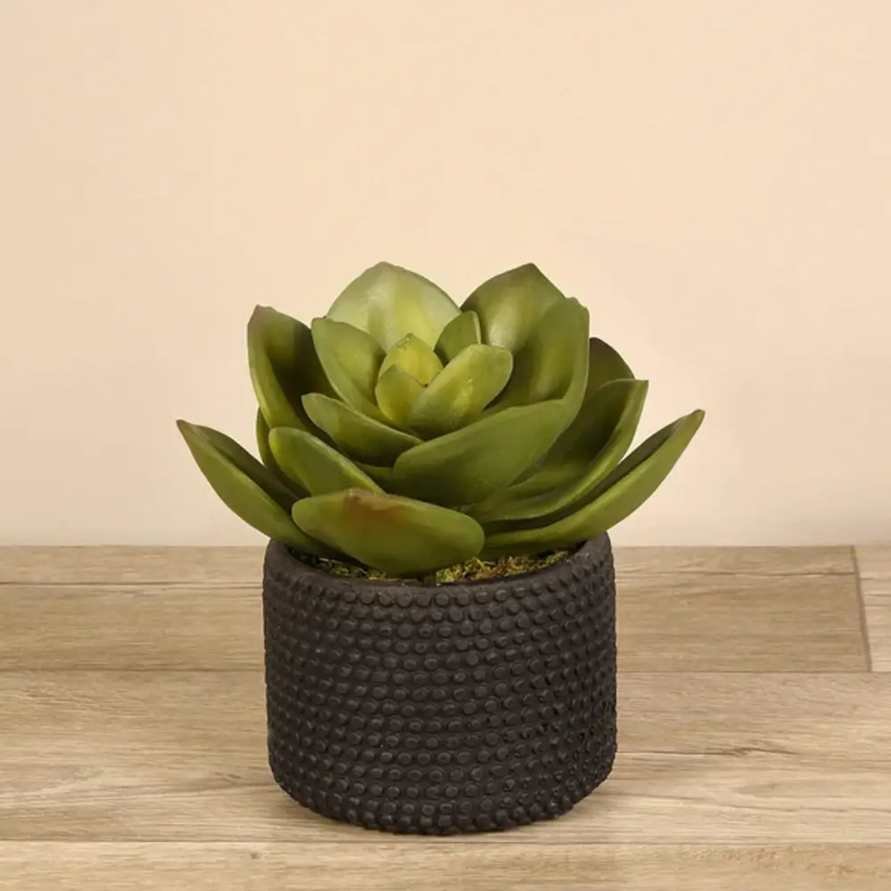 Artificial Succulent Plant
