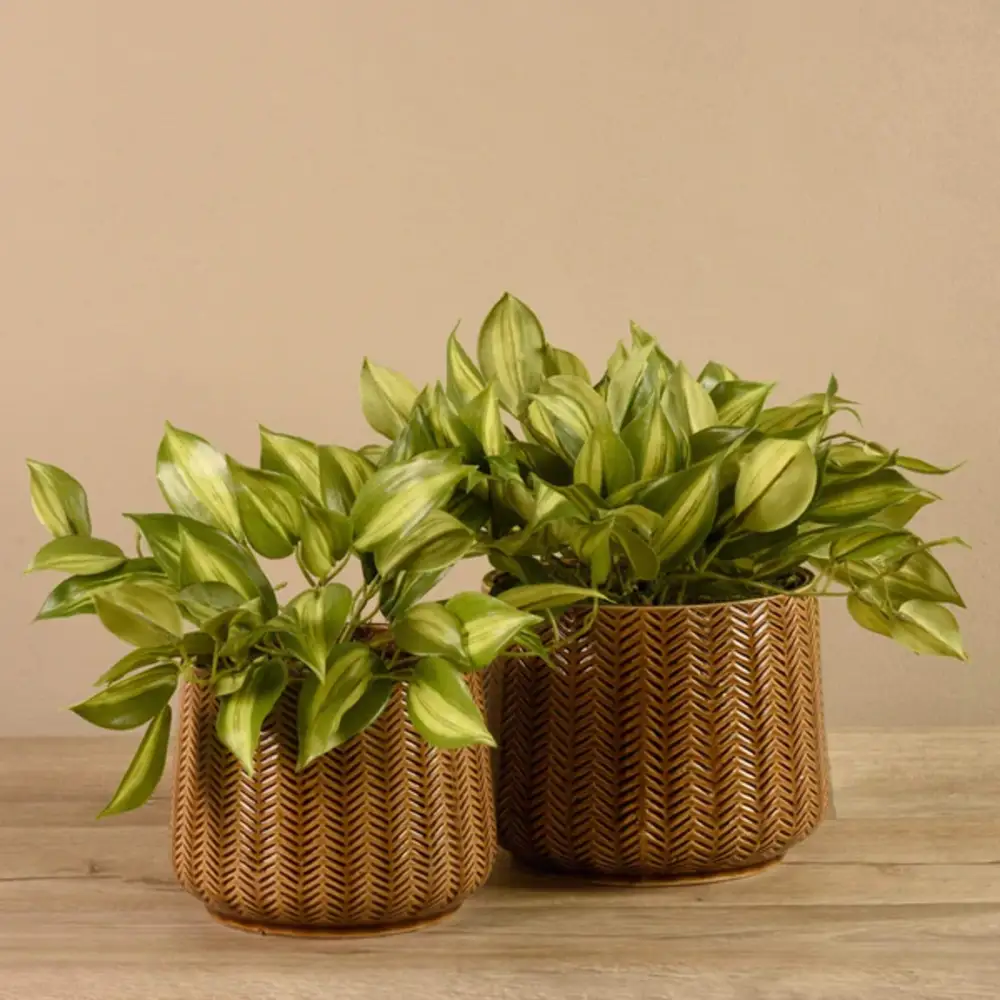 Artificial Vanilla Leaf Plant