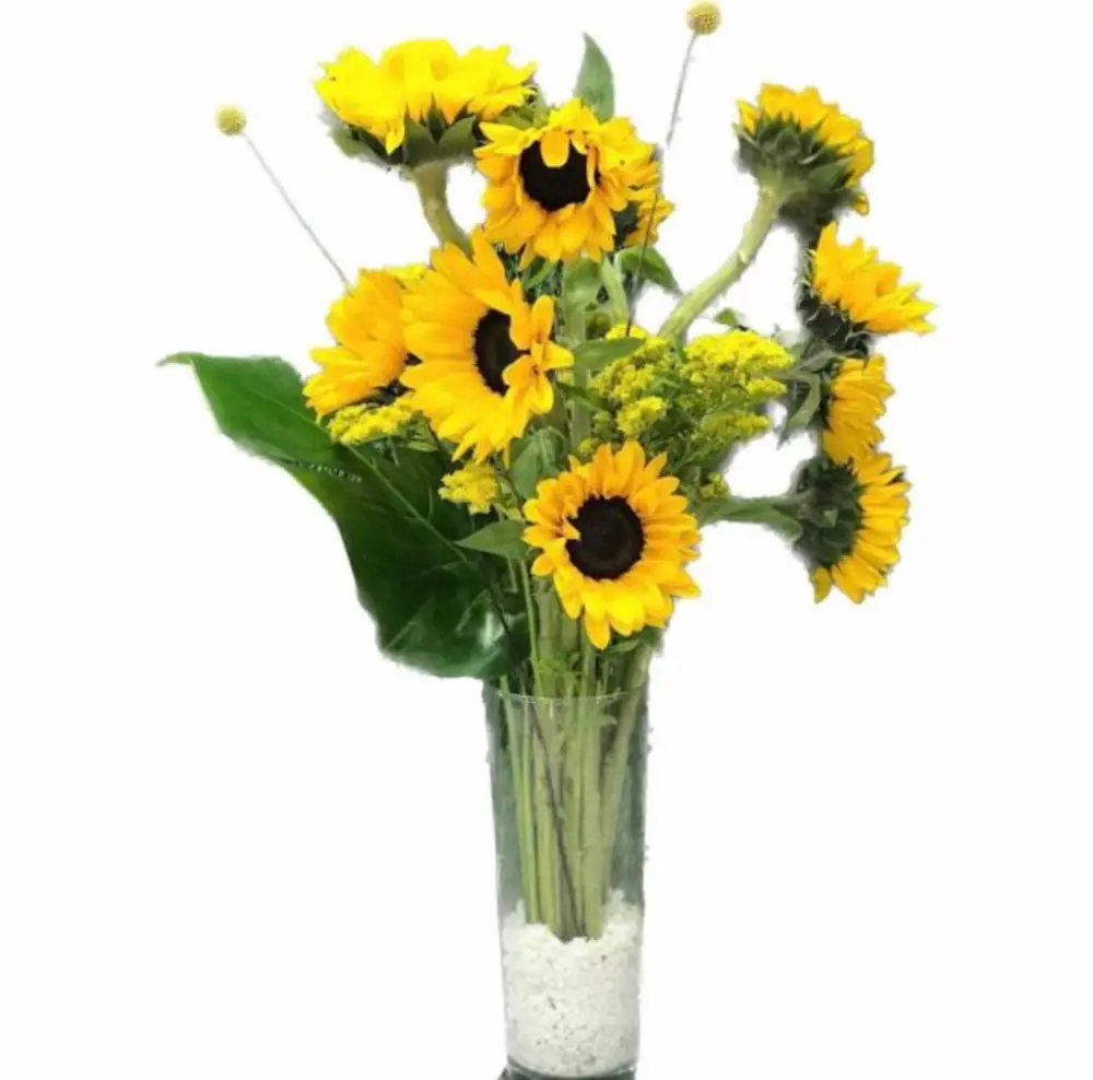 sunflowers and some flowers with leaves and glass