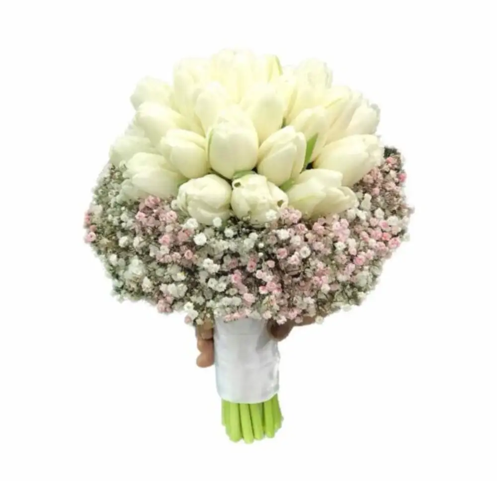 White tulip with mix color of gypsophila N
