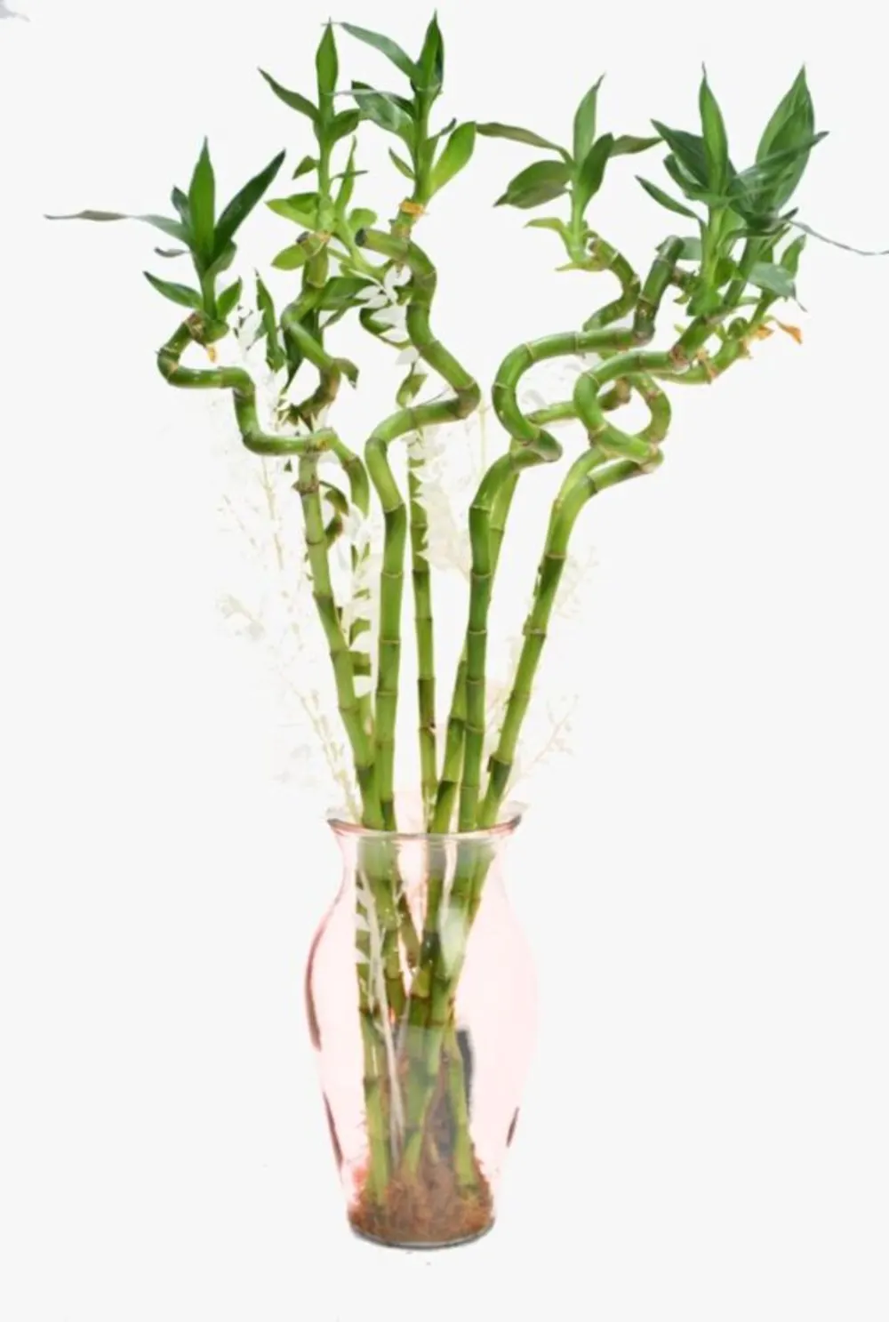 BAMBOO WITH VASE AND SOME DRY FLOWERS N