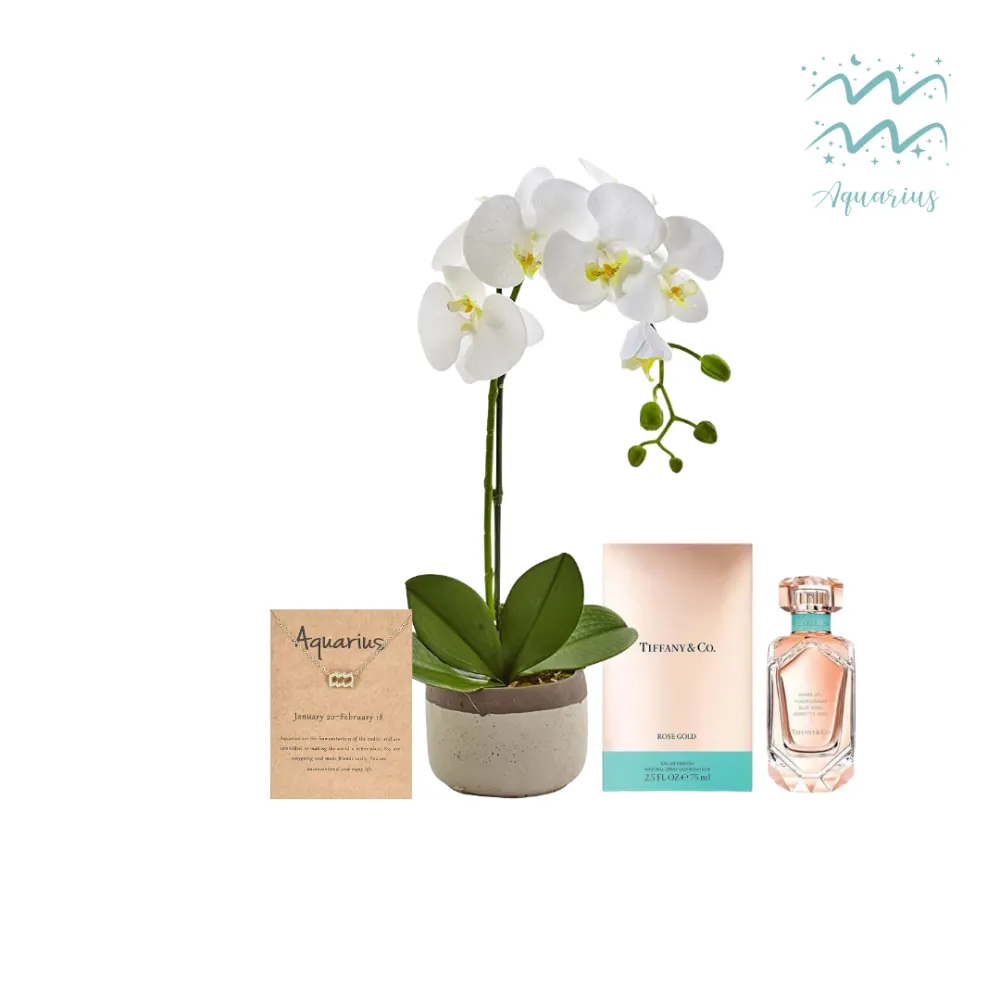 Aquarius Gift (Women)