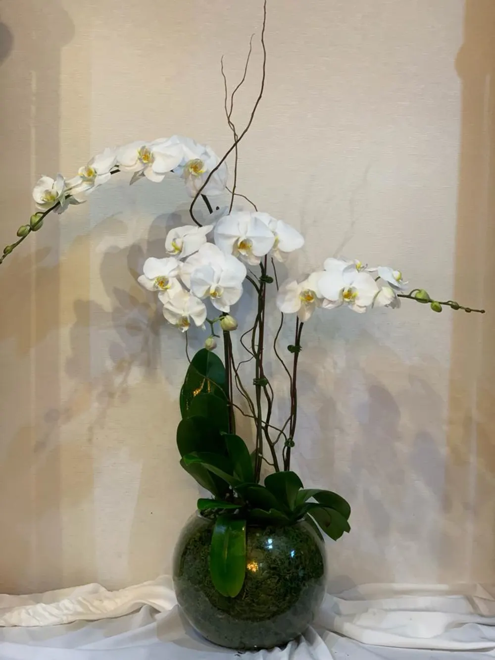 White Orchids in Bowl Clear Vase