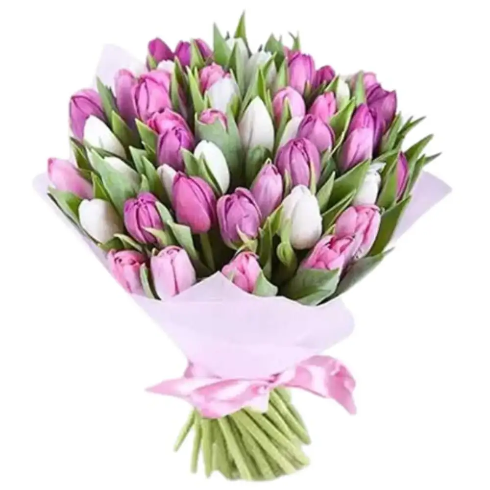 Pink White Tulips Bunch Standard
