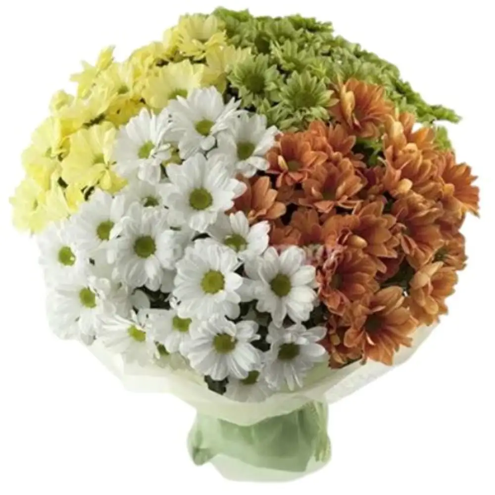 Bouquet Of Chrysamthmums