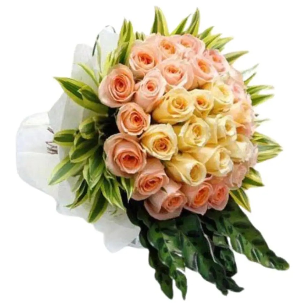 GARDEN TERRACE PREMIUM