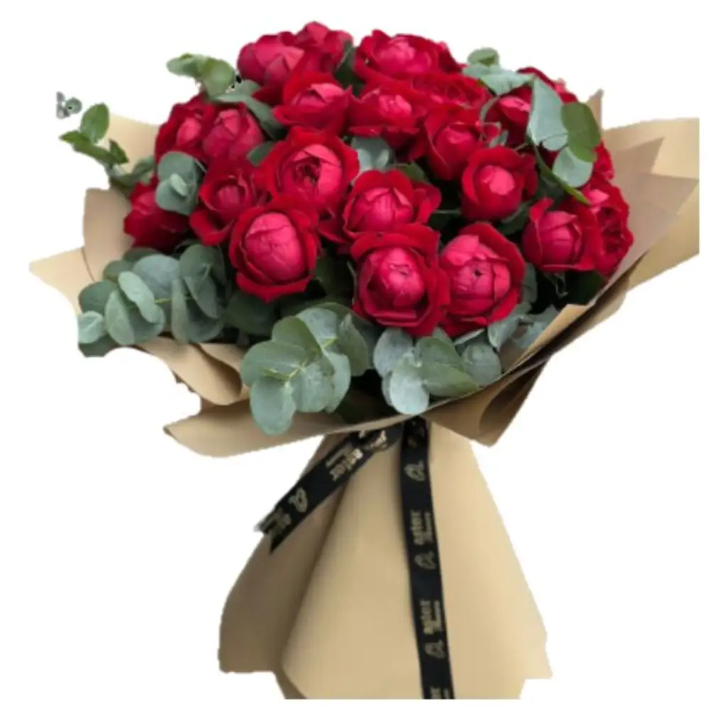 Elegant Red David Austin Roses