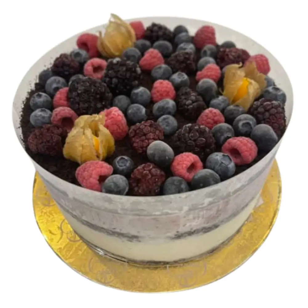 Vanilla mix berries ice cream