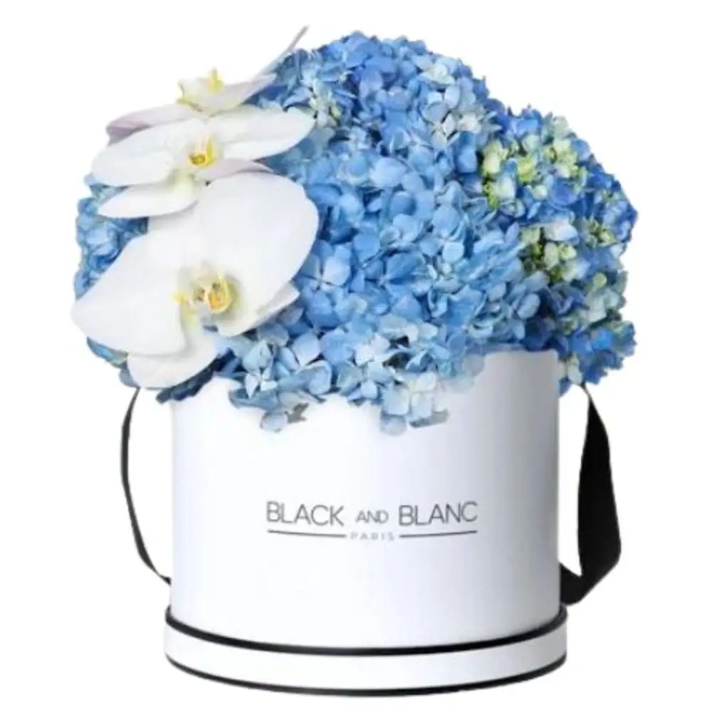 Sagittarius Flowers 2