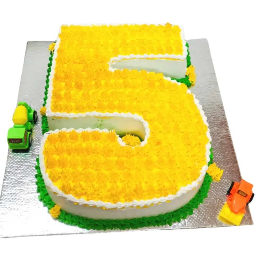 Number 5 Shaped Cake