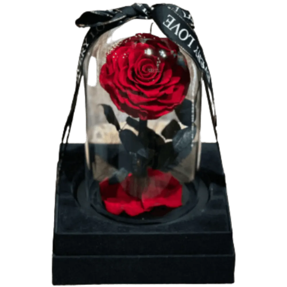 Forever Rose - blue with ribbon