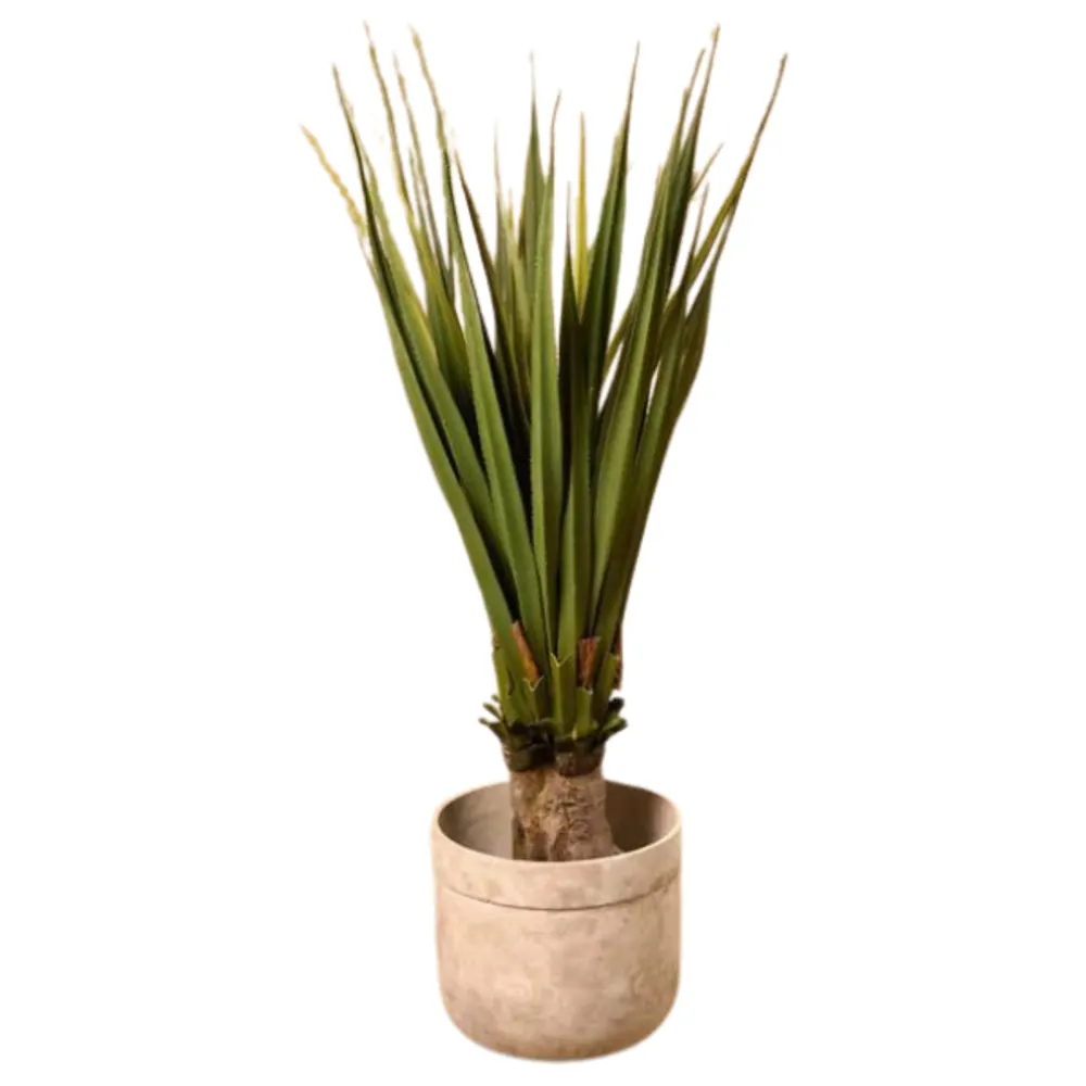 Artificial Pandanus Plant.
