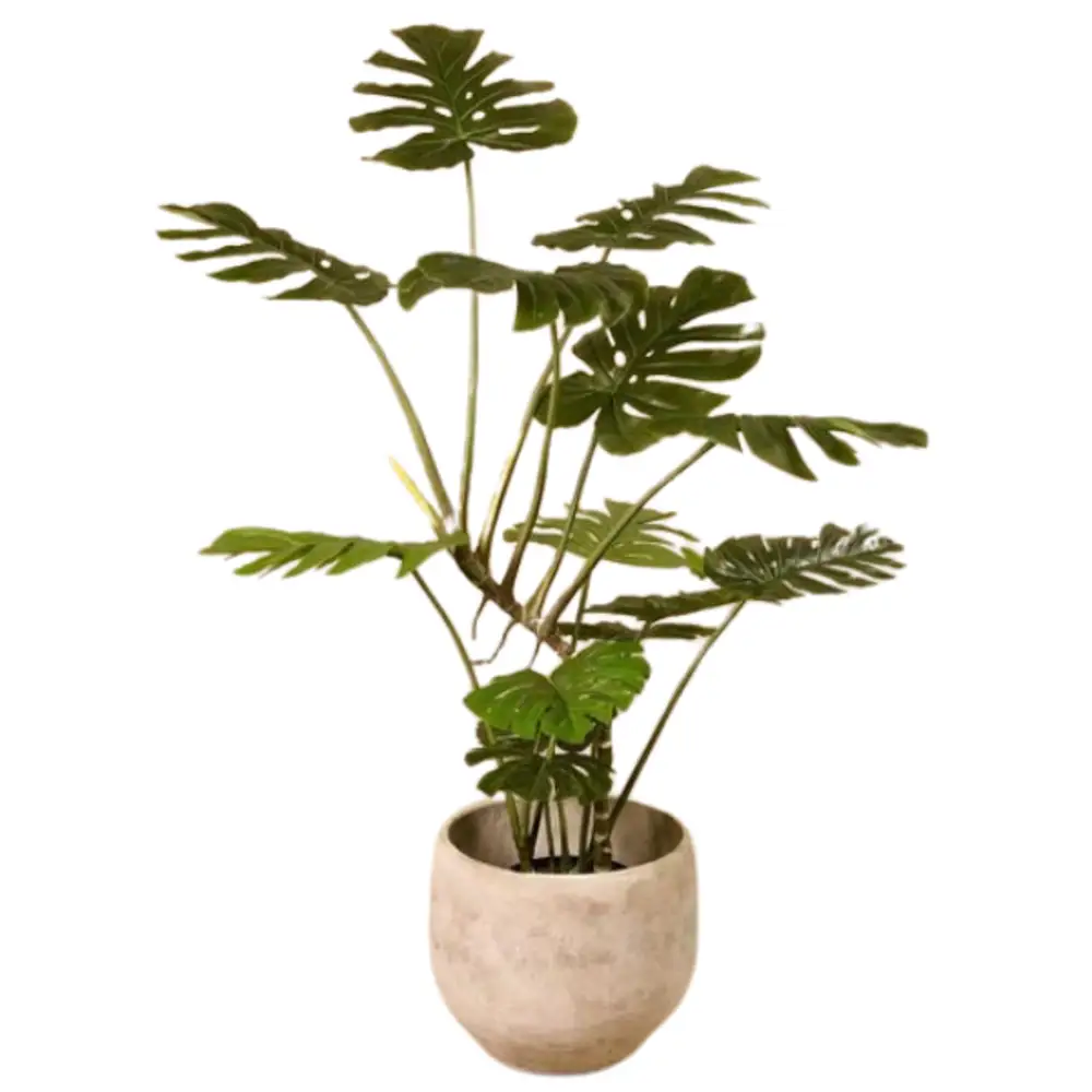 Artificial Monstera Plant.