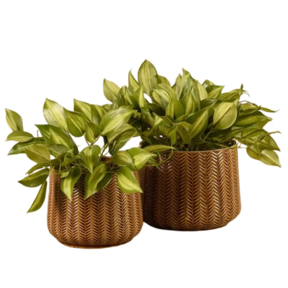 Artificial Vanilla Leaf Plant.