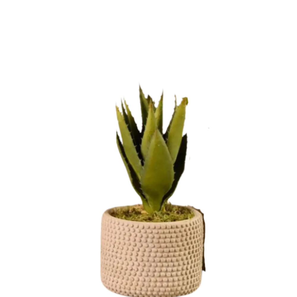Artificial Aloe Plant.