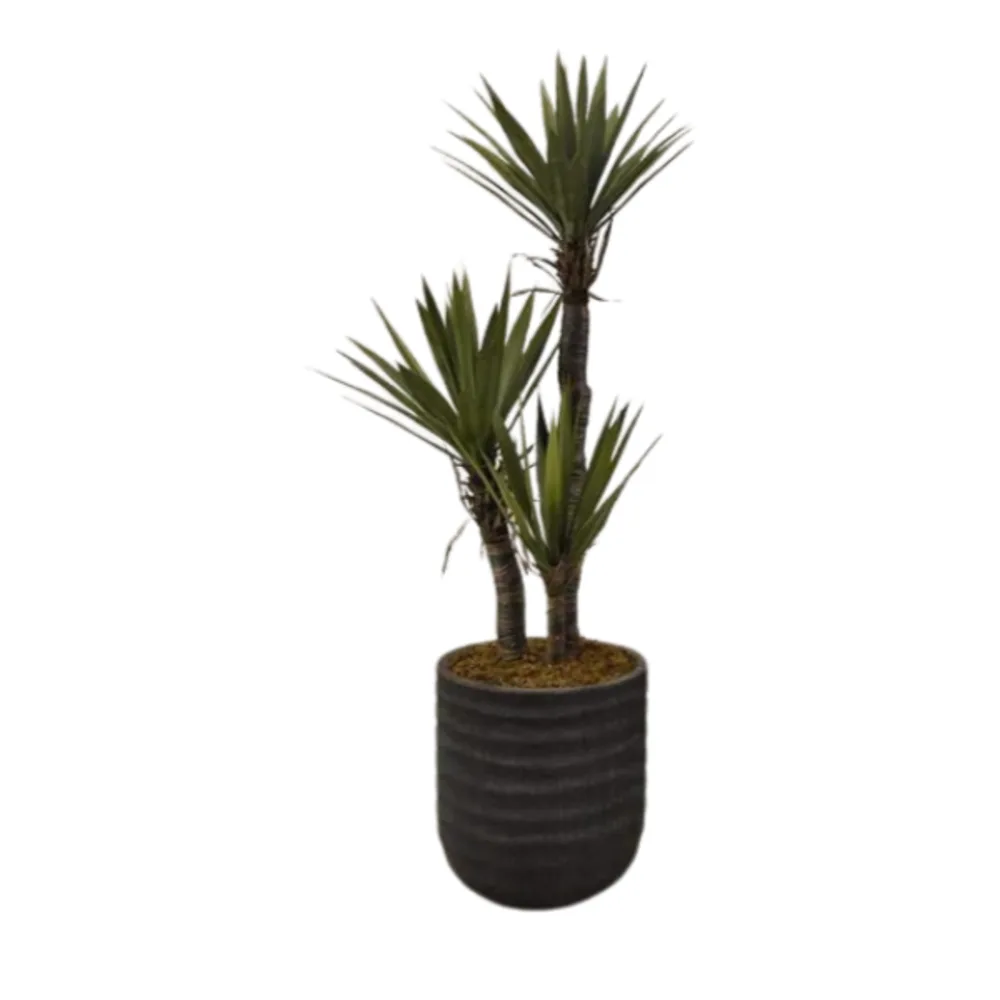Artificial Yucca Plant.