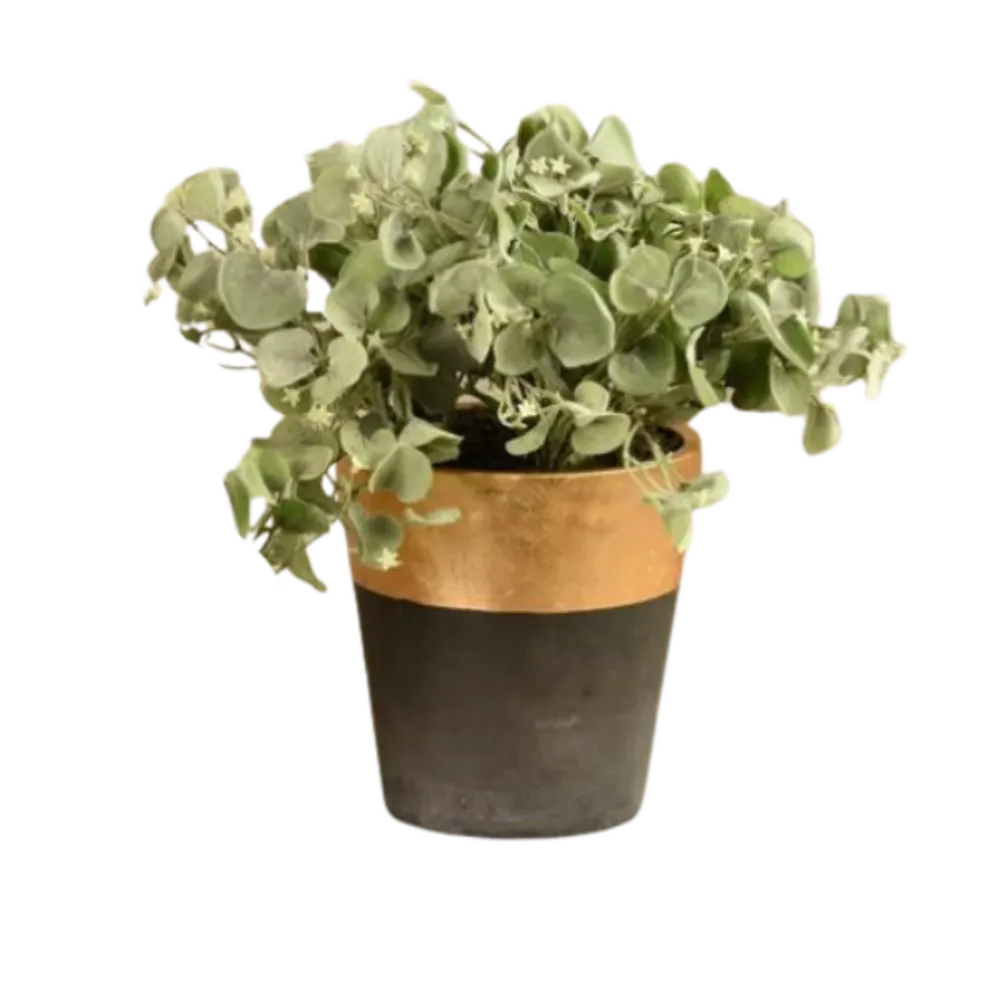 Artificial Dichondra Plant.