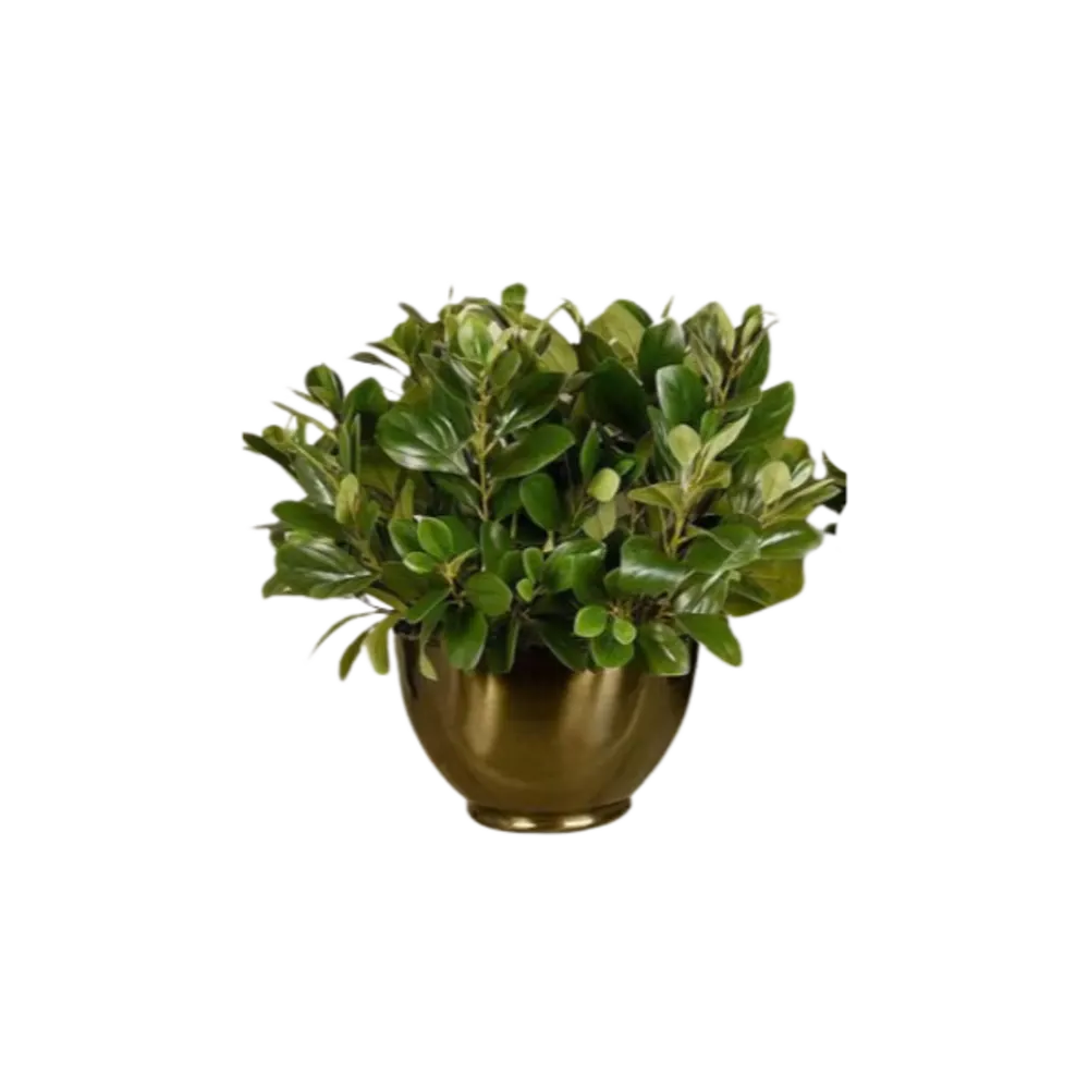 Artificial Watercress Plant.