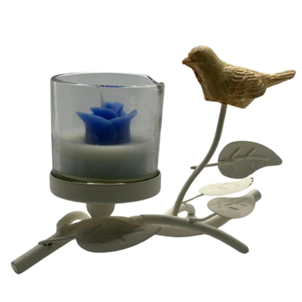 Bird with candle