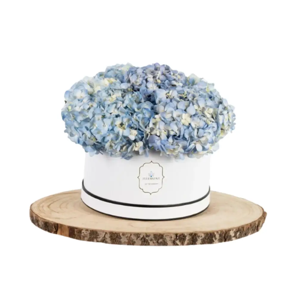 Petite Hydrangea Box