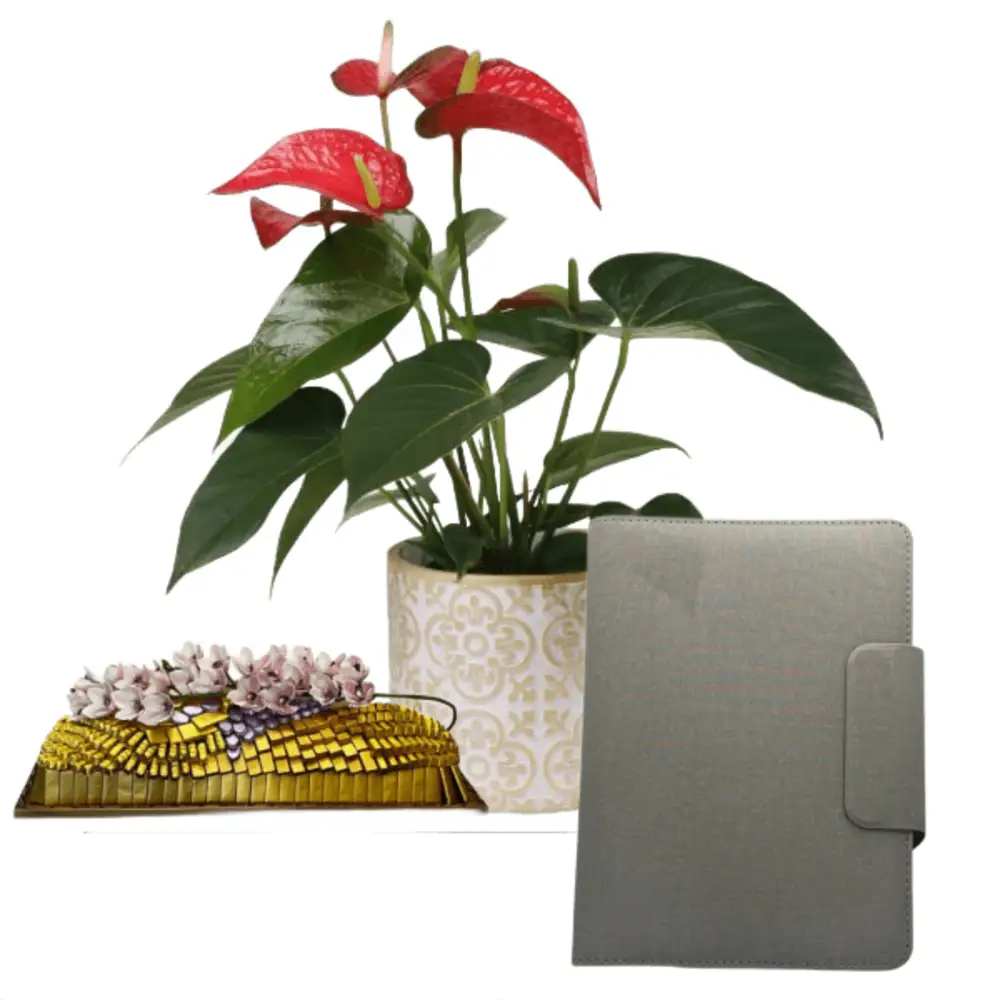 special Corporate Gifts 17