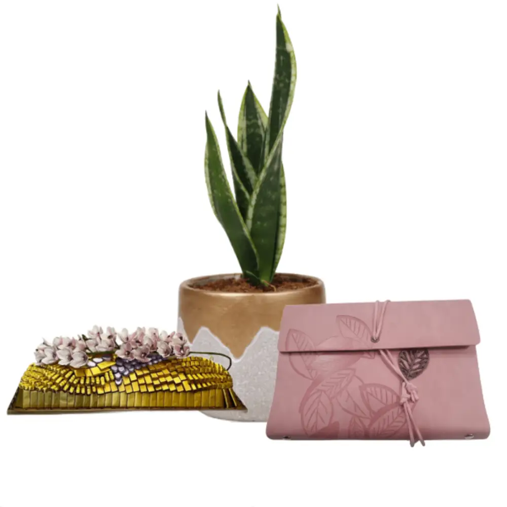 special Corporate Gifts 13