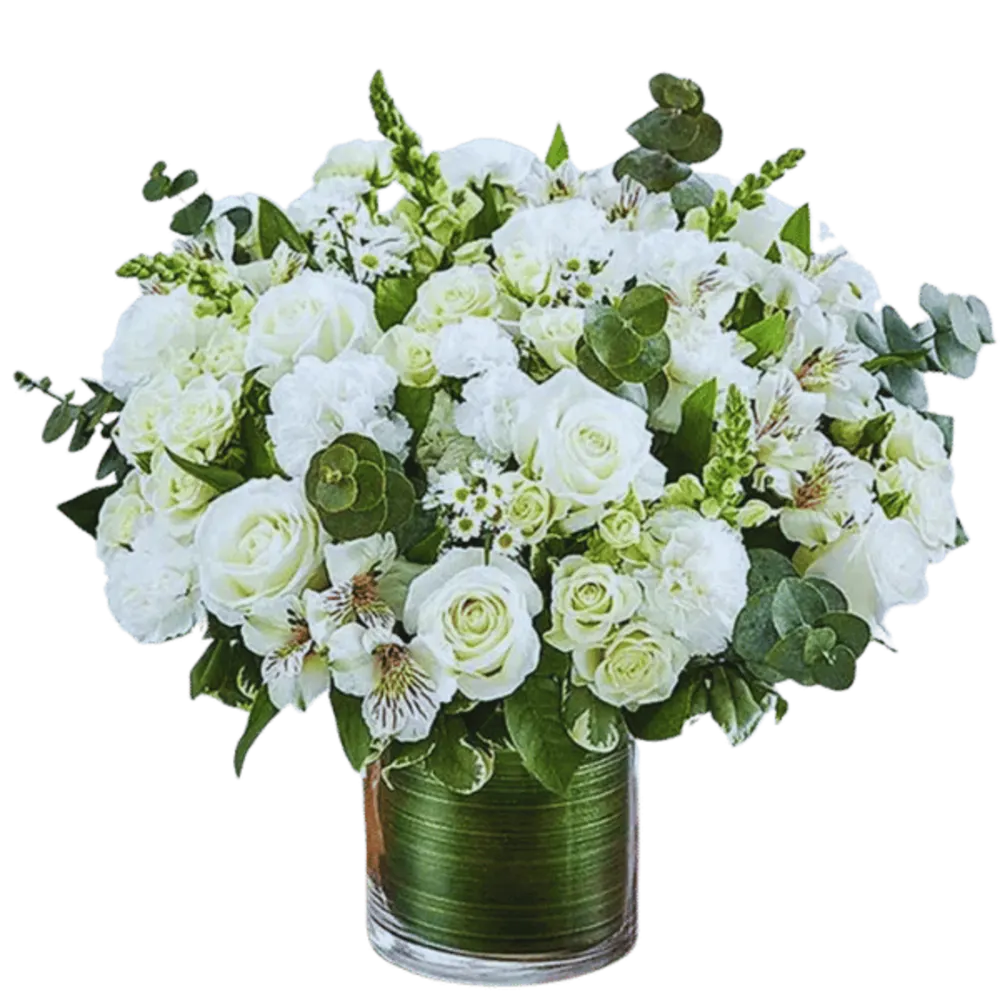 National Day package8