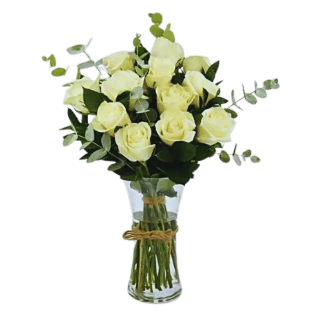 National Day package6