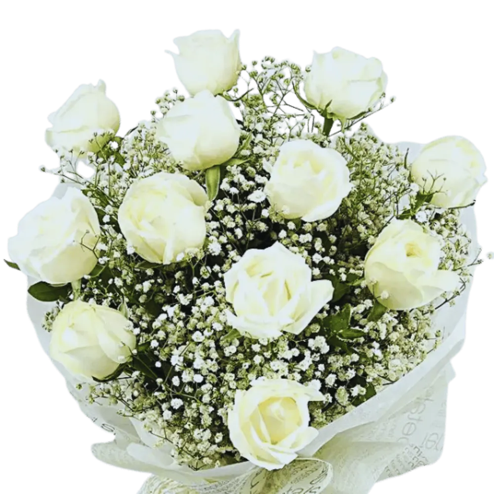 National Day package2