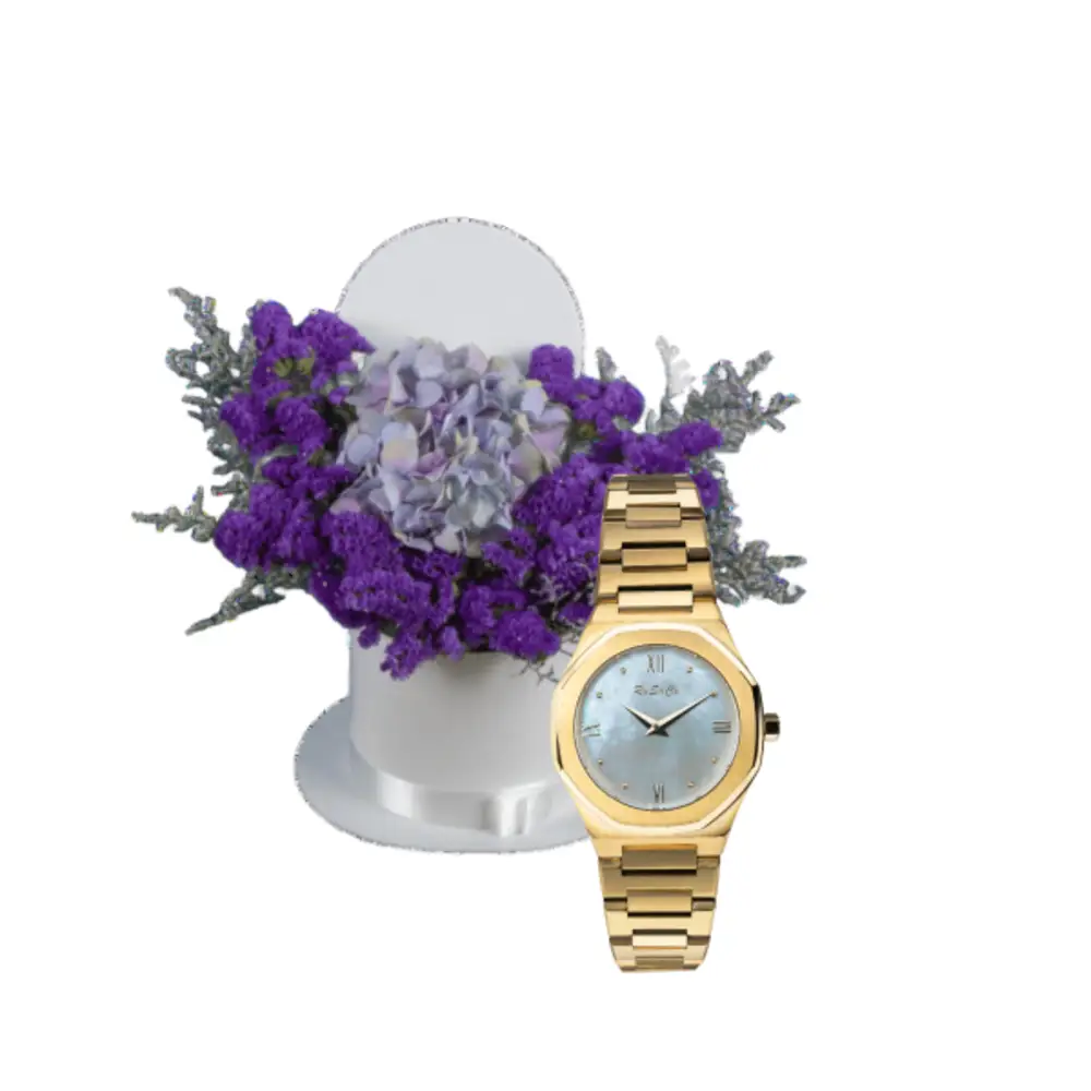 Luxury watch gifts 9