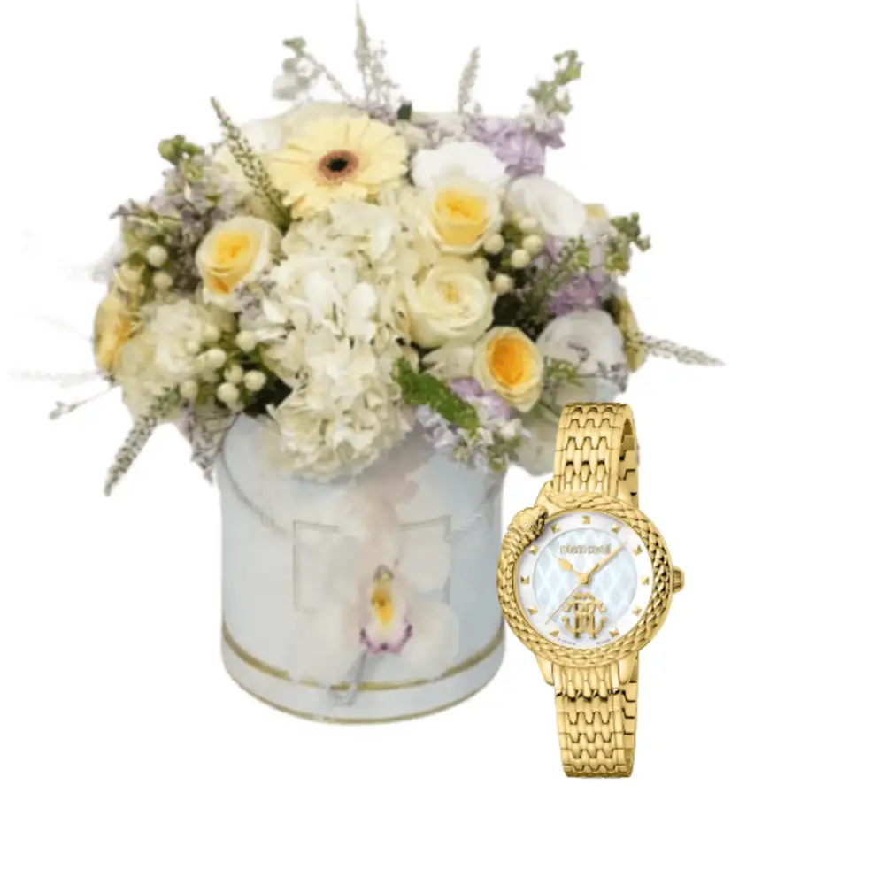 Luxury watch gifts 15