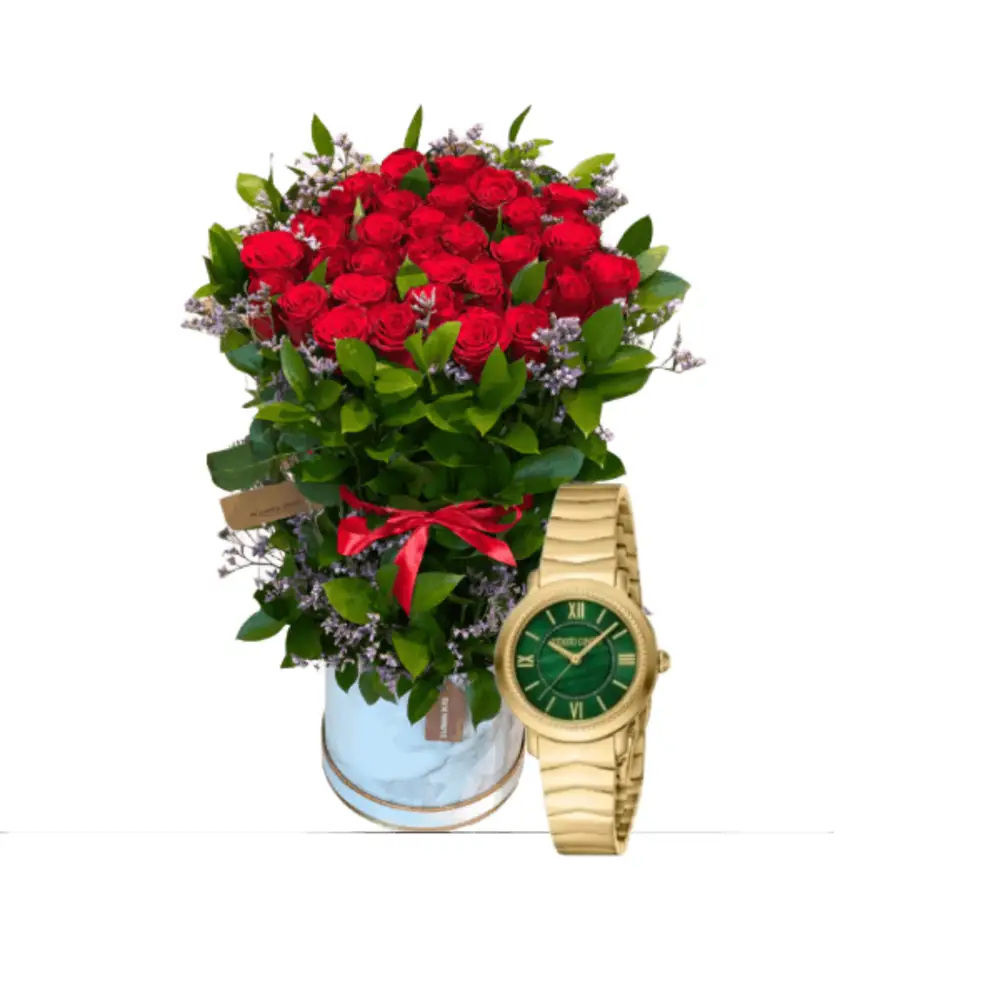 Luxury watch gifts 17