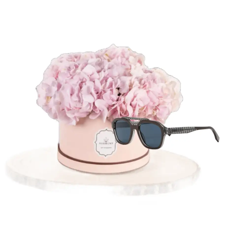 Special sunglasses gifts 14