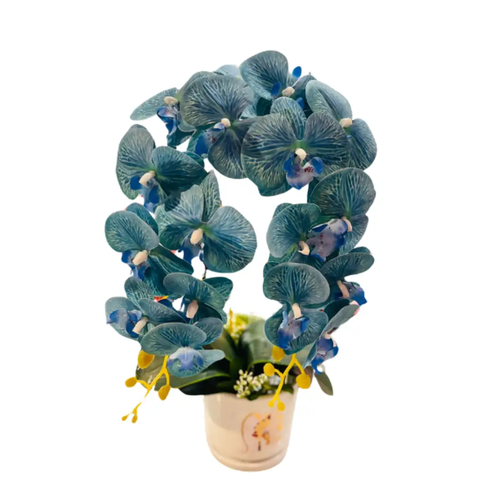 Orchid vase blue color